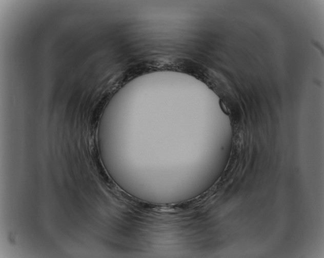 X0000092000607200709061241