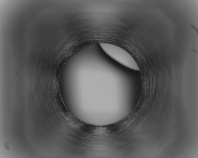X0000092000609200709061241