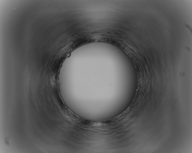 X0000092000611200709061241