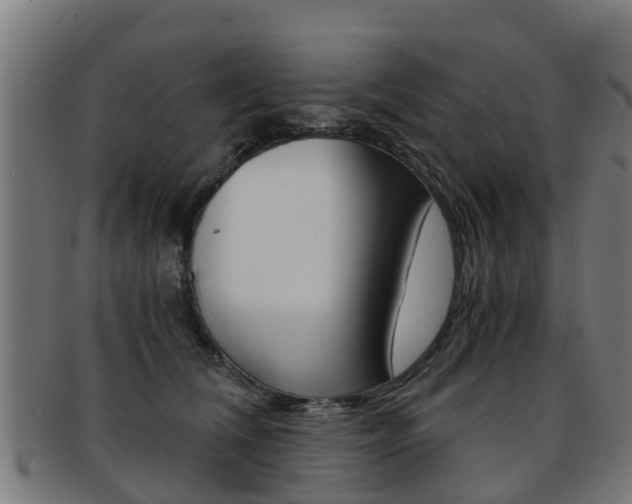 X0000092000612200709061241