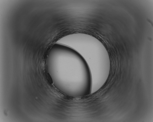X0000092000613200709061241