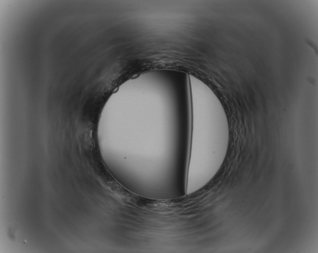 X0000092000615200709061241