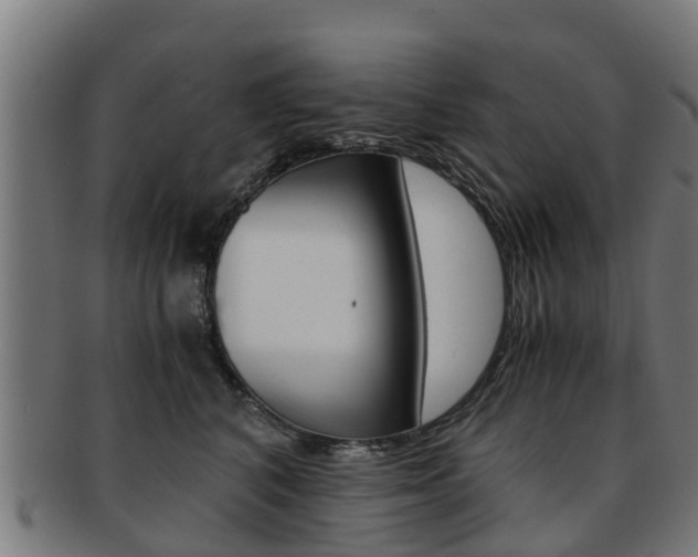 X0000092000616200709061241