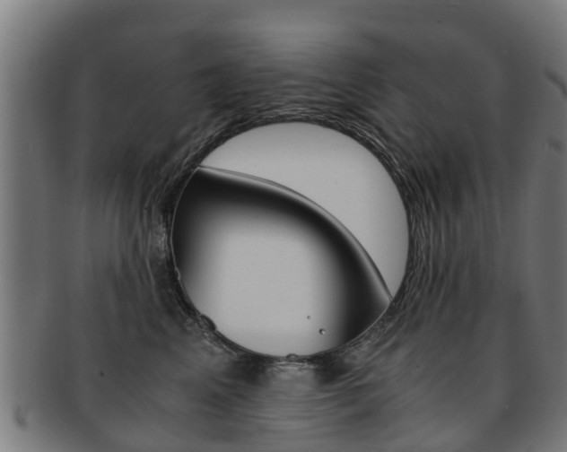 X0000092000617200709061241