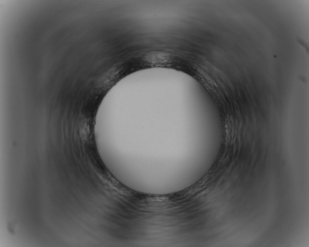 X0000092000618200709061241
