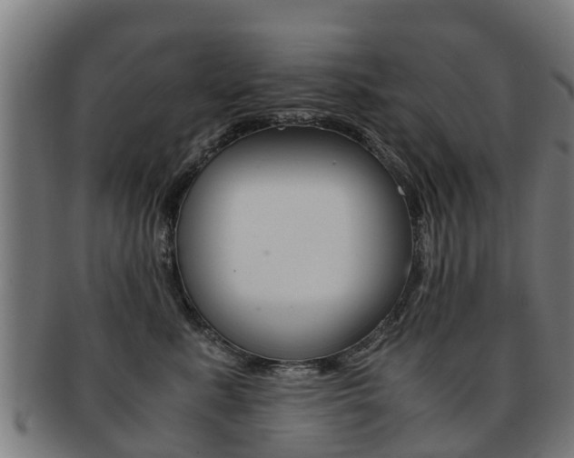 X0000092000619200709061241