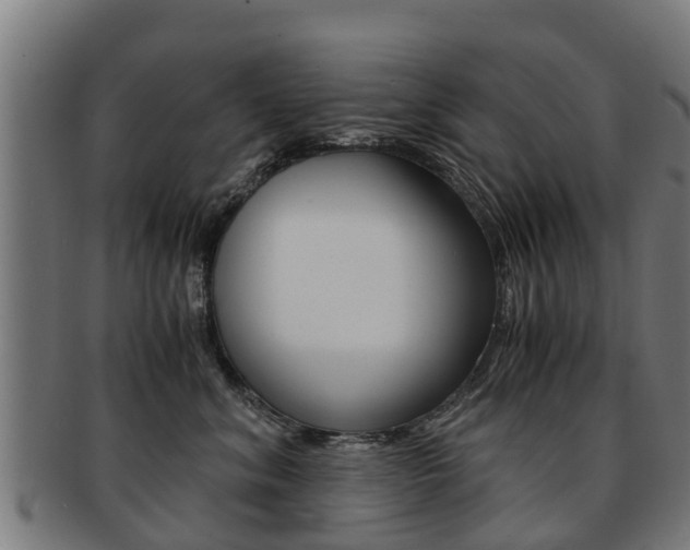 X0000092000620200709061241