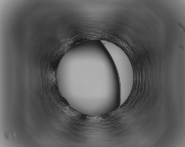 X0000092000621200709061241