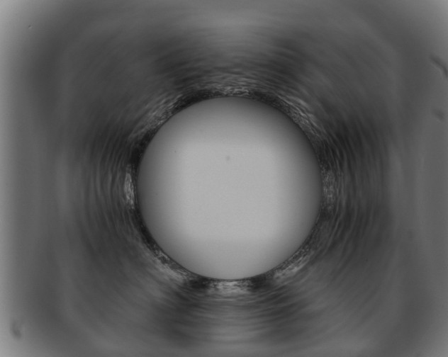 X0000092000622200709061241