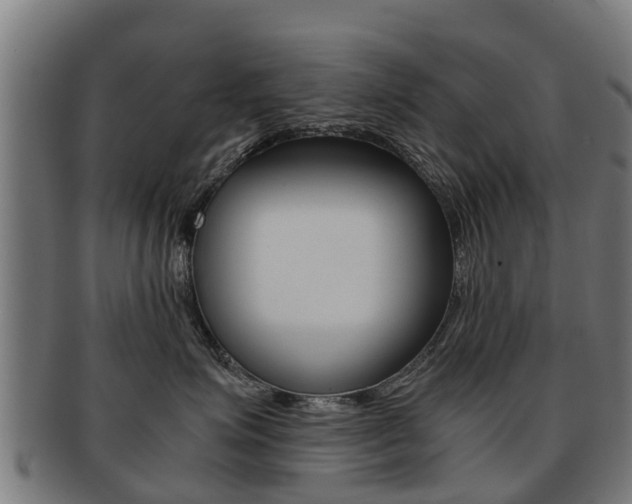 X0000092000623200709061241