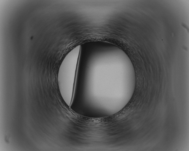 X0000092000624200709061241
