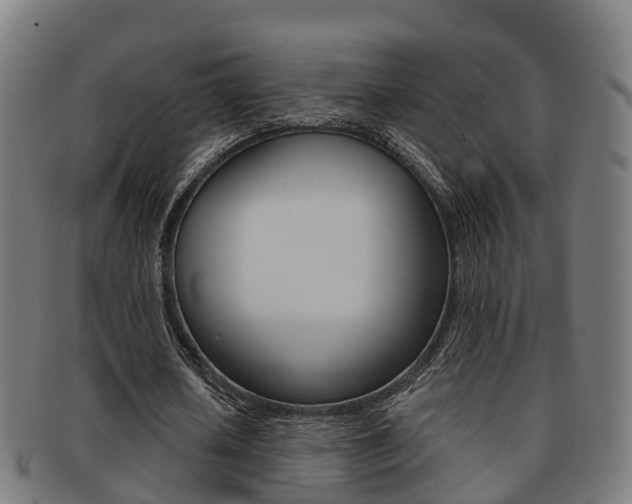 X0000092000626200709061241