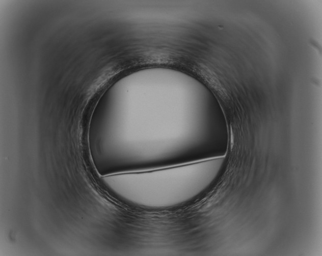 X0000092000627200709061241