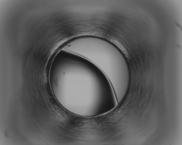 X0000092000628200709061241
