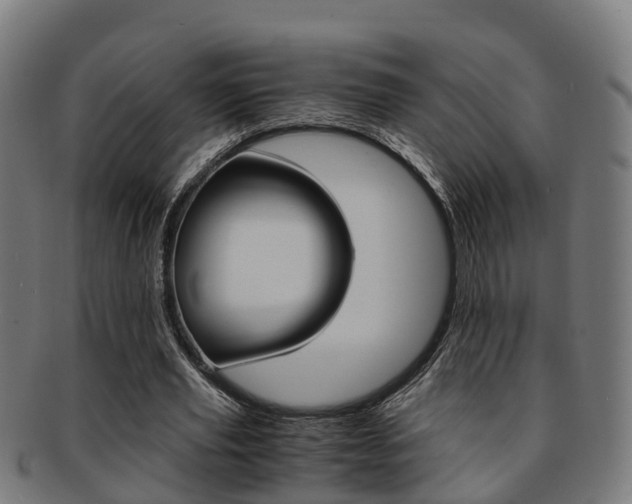 X0000092000629200709061241
