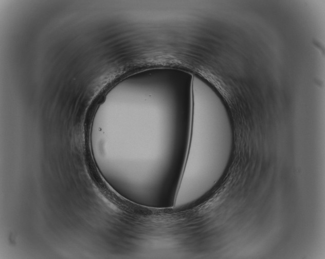 X0000092000630200709061241