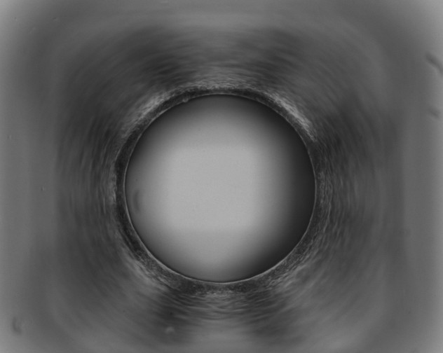 X0000092000631200709061241