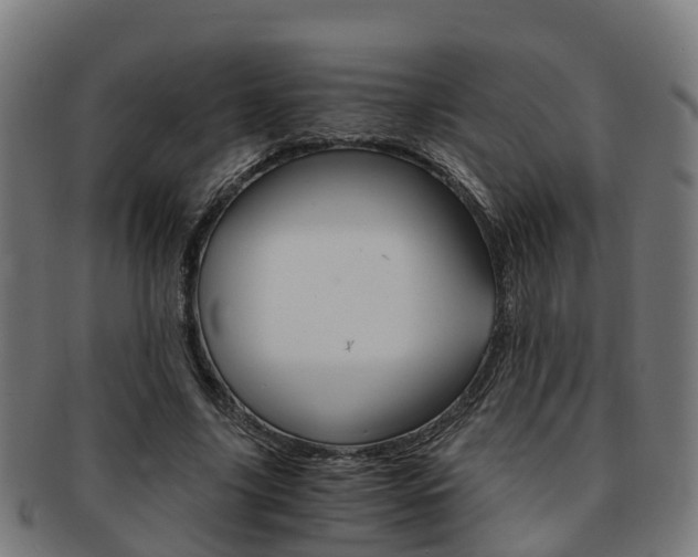 X0000092000635200709061241