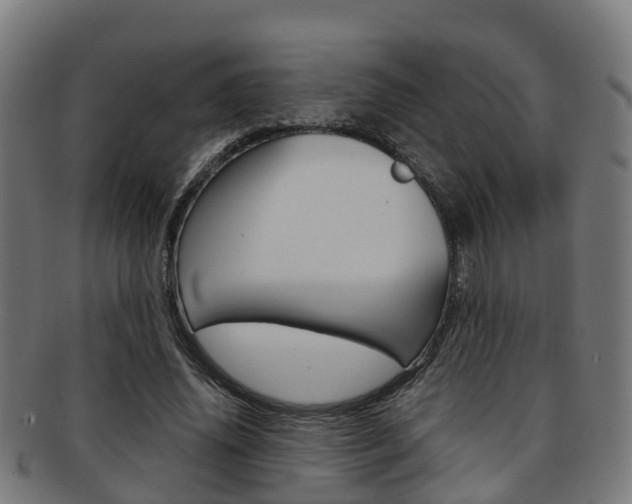 X0000092000636200709061241