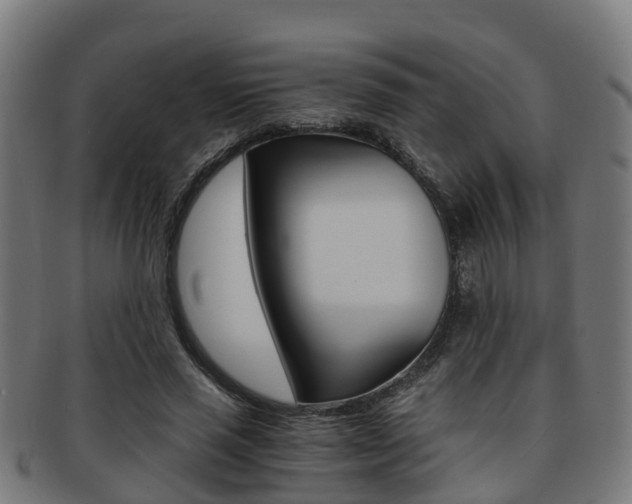 X0000092000637200709061241