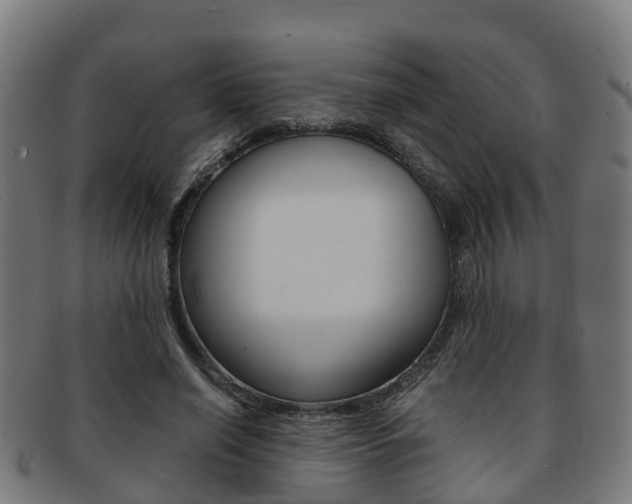 X0000092000638200709061241