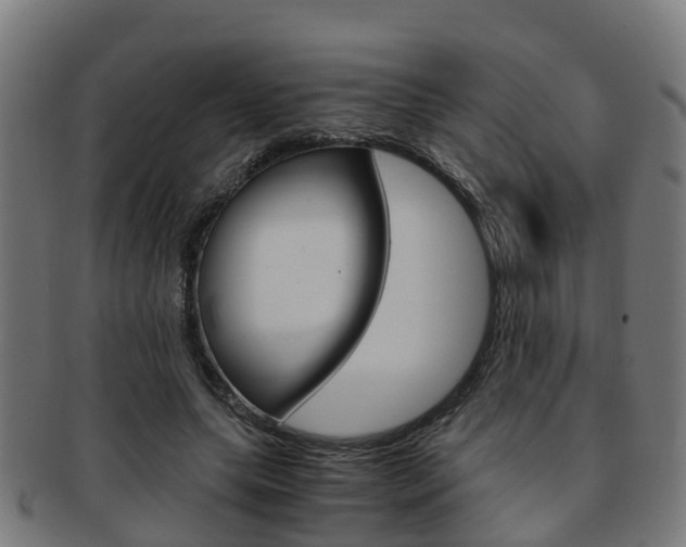 X0000092000639200709061241