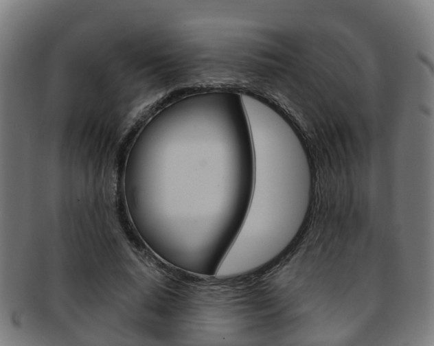 X0000092000640200709061241