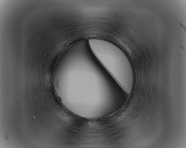 X0000092000641200709061241