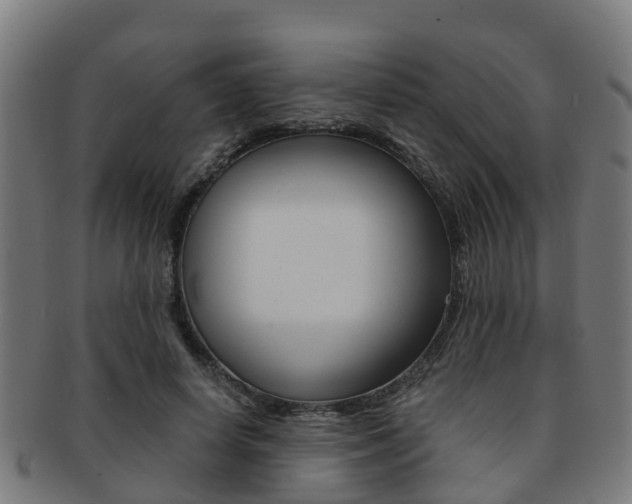 X0000092000642200709061241