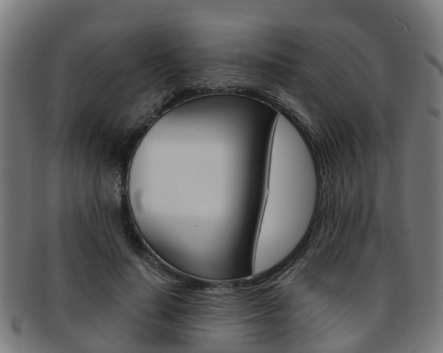 X0000092000644200709061241