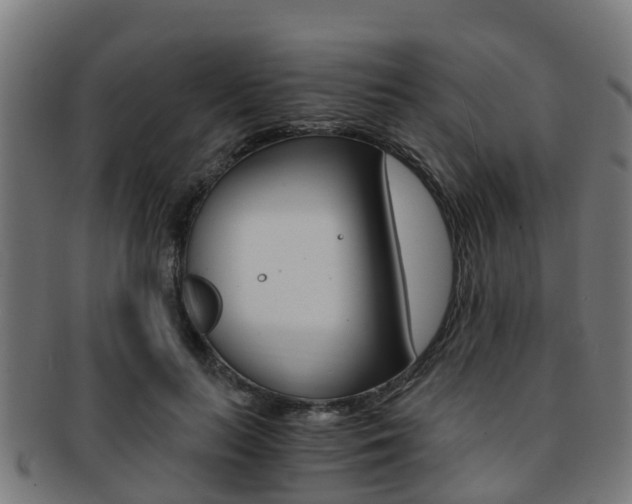 X0000092000647200709061241