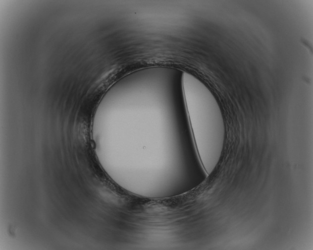 X0000092000648200709061241