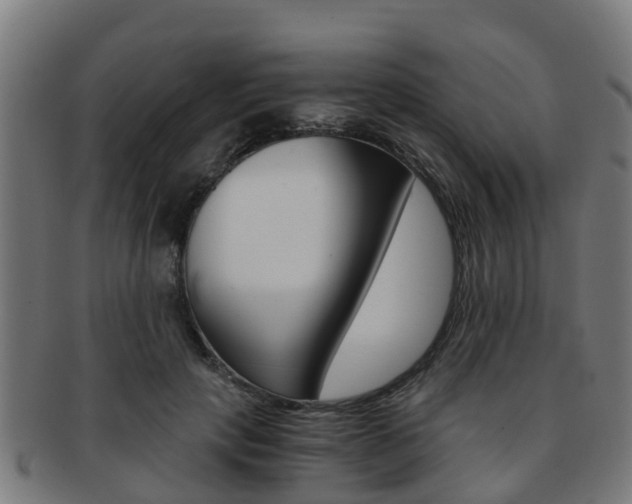 X0000092000649200709061241