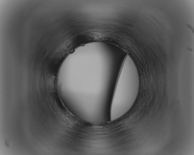 X0000092000650200709061241