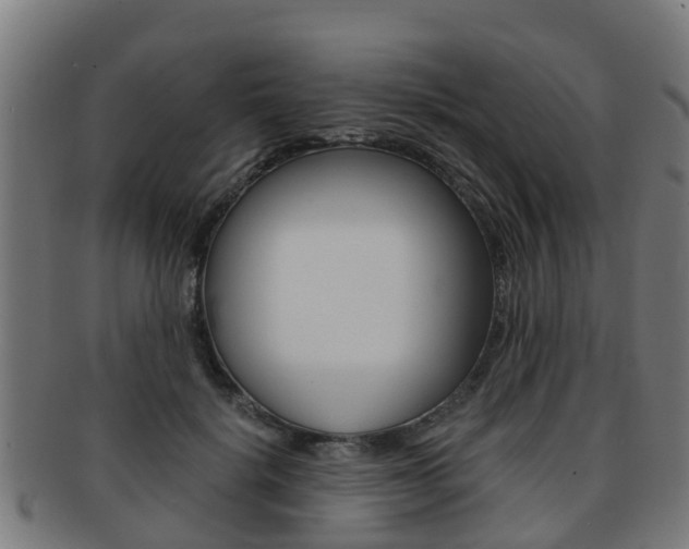 X0000092000652200709061241