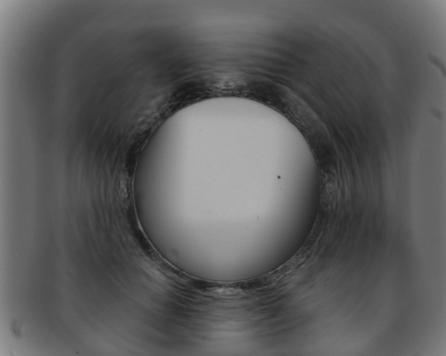X0000092000654200709061241