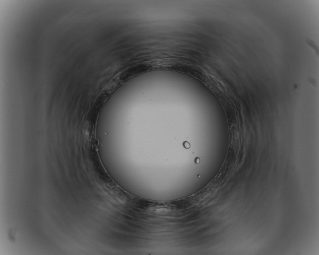 X0000092000655200709061241
