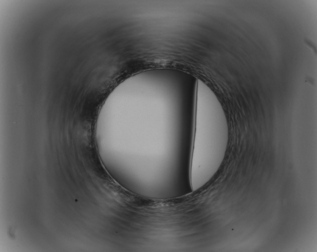 X0000092000656200709061241