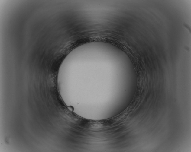 X0000092000658200709061241