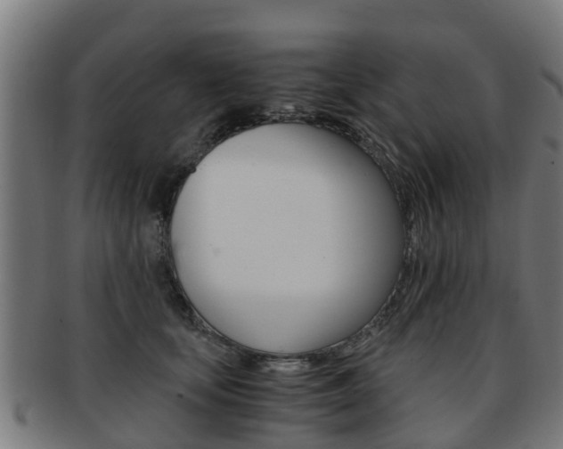 X0000092000659200709061241