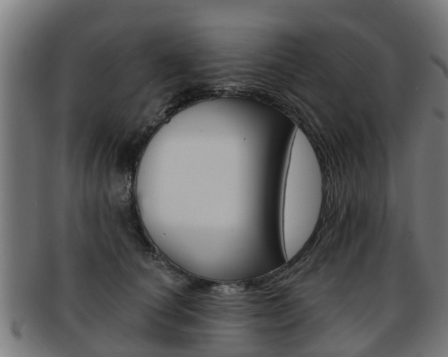 X0000092000660200709061241