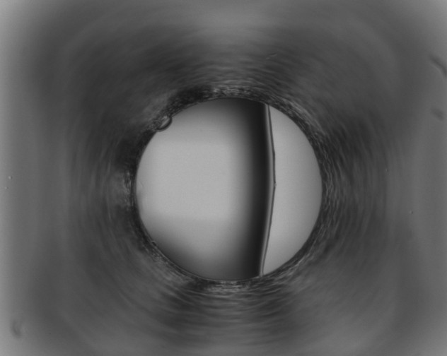 X0000092000661200709061241