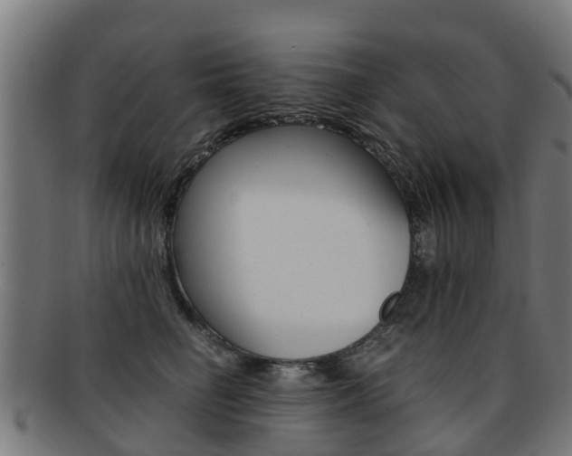 X0000092000662200709061241