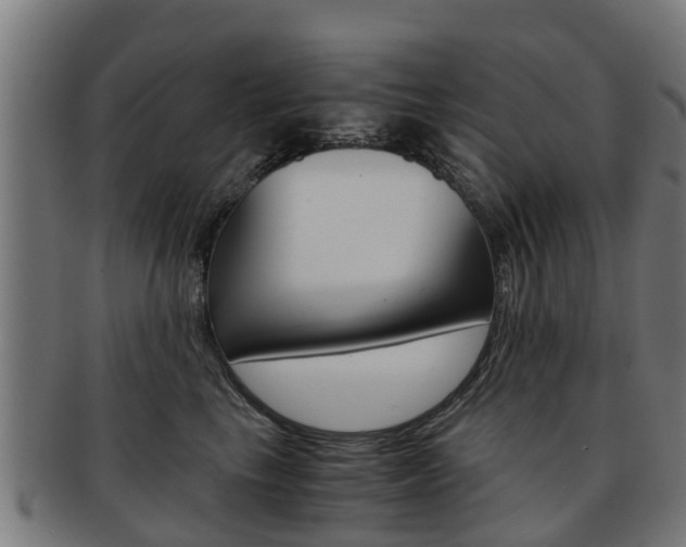 X0000092000665200709061241