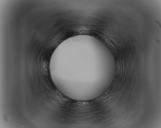 X0000092000667200709061241