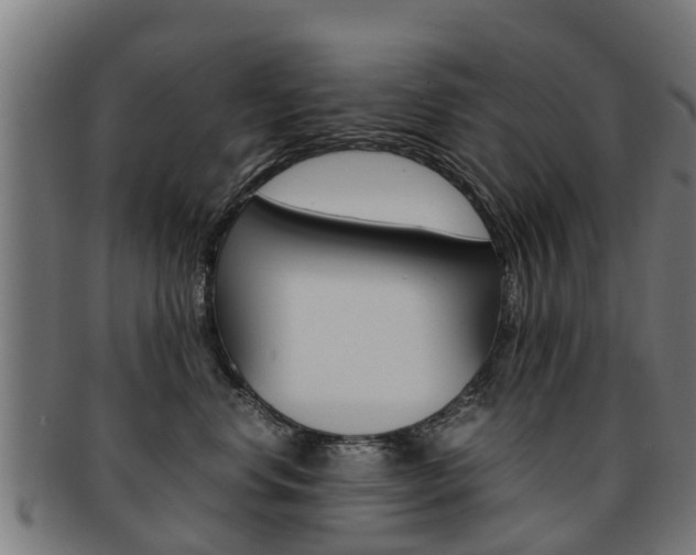 X0000092000668200709061241