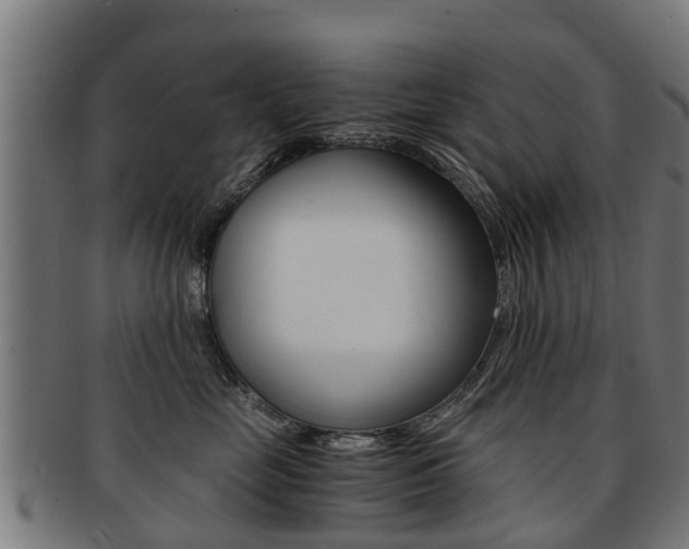 X0000092000669200709061241