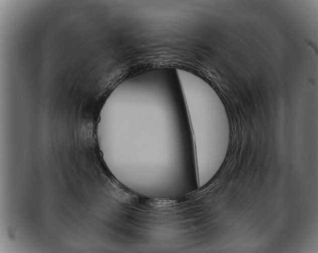 X0000092000670200709061241