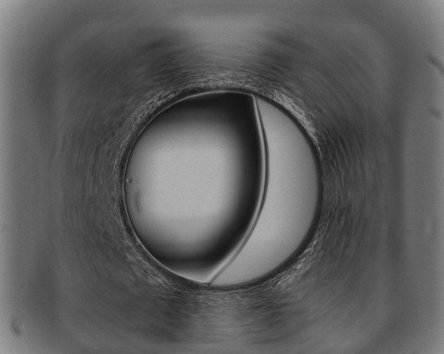X0000092000673200709061241