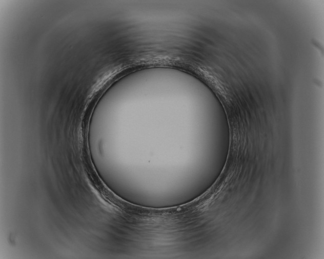 X0000092000674200709061241